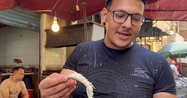 "الجمبرى الكداب" يكتسح أسواق الإسكندرية والكيلو بـ 10جنيهات.. صور