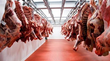 أخبار 24 | المملكة ترفع الحظر المؤقت على استيراد البيض ولحوم الدواجن والأبقار والأغنام من 3 دول