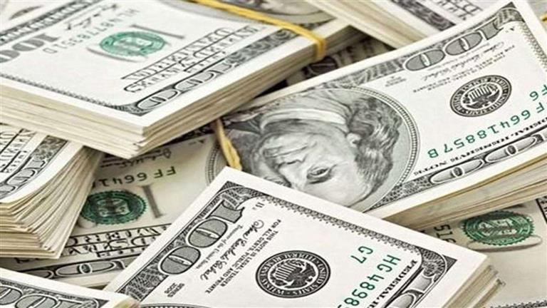 أول تحرك لسعر الدولار مقابل الجنيه بعد تعيين محافظ البنك المركزي الجديد