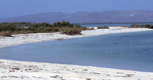 إطلاق حملة تنظيف الشواطئ | متفرقات