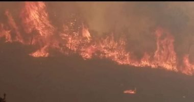 إعلام جزائرى: وفاة 26 شخصا نتيجة الحرائق في ولايتى الطارف وسطيف .. صور