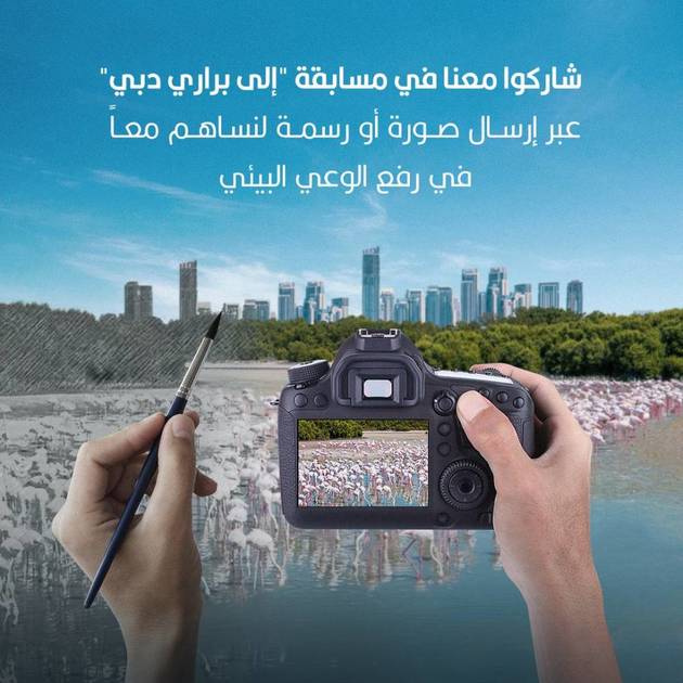 «إلى براري دبي» تستقطب مشاركين للحفاظ على البيئة