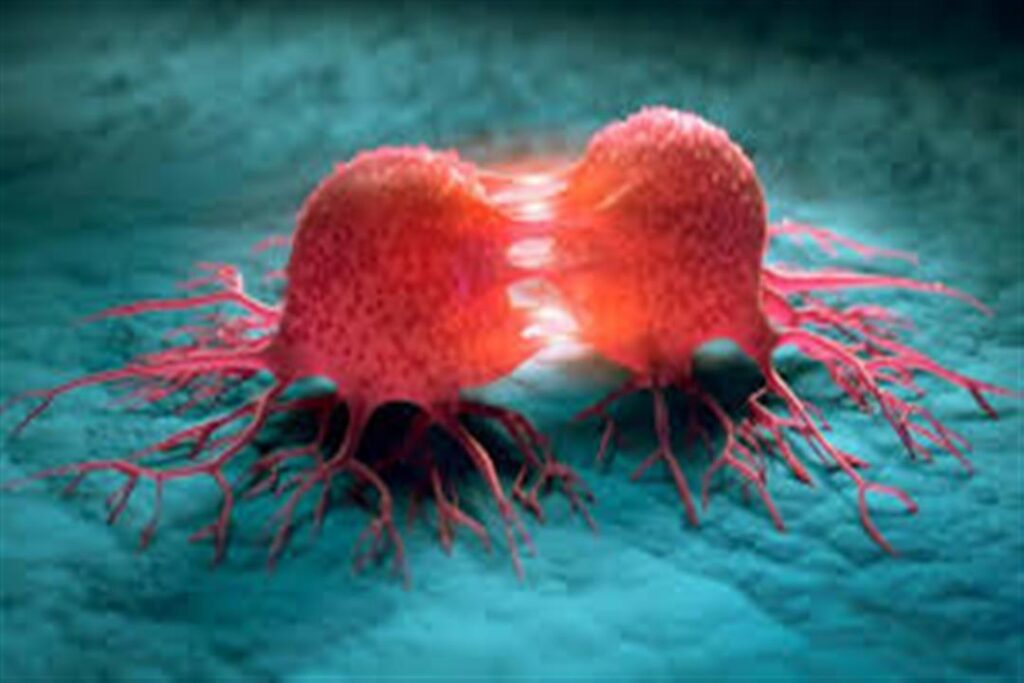 شاي شهير قد يكون مرتبطا بزيادة خطر الإصابة بالسرطان