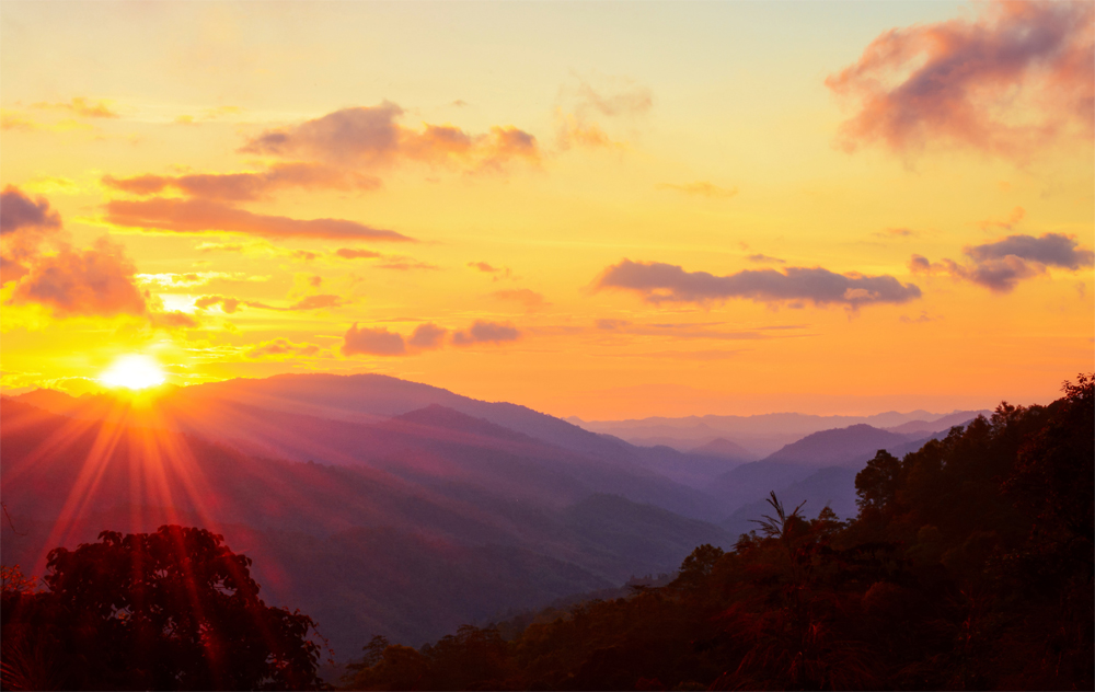 الاستعداد المبكر | ابن الديرة