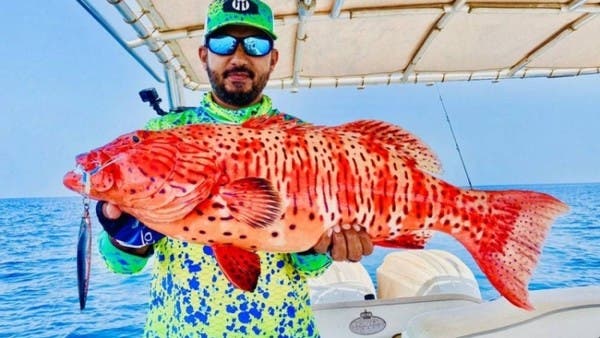 البيئة السعودية تكرم مواطناً من أجل هذه السمكة