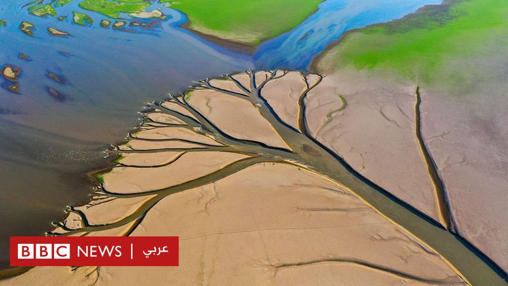 الجفاف في الصين: كيف تبدو أسوأ موجة تضرب البلاد وتلحق الضرر بآلاف الأفدنة؟