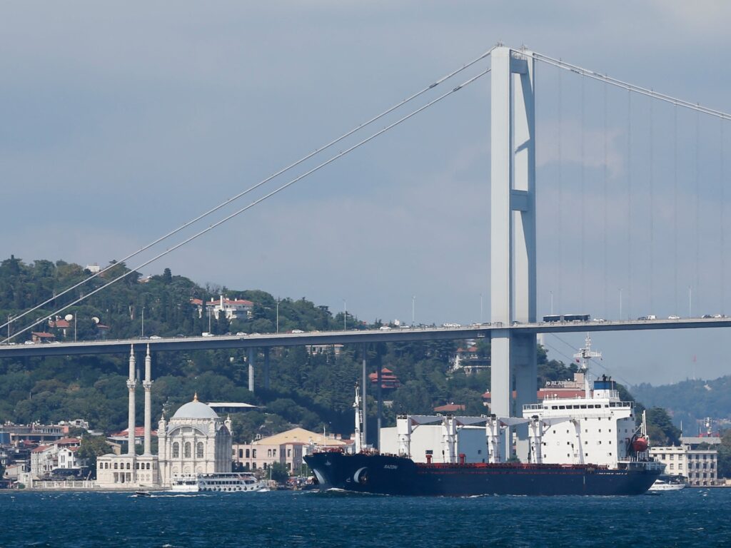 بعد أن رُفضت في لبنان.. أول سفينة حبوب غادرت أوكرانيا تتوجه إلى سوريا | أخبار