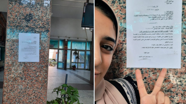 بعد فاجعة نيرة وسلمى.. جامعة مصرية تفصل طالباً أساء لزميلته بالسوشيال ميديا