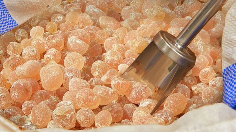 الإمارات نيوز