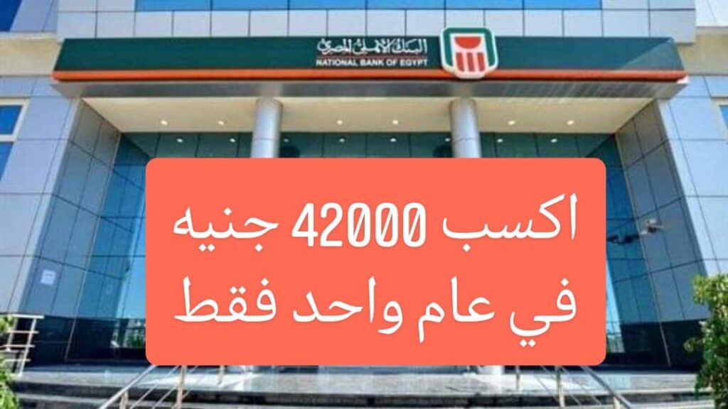 "تحب تكسب 42000 من البنك" .. شهادة استثمارية بعائد 14% في البنك الأهلي المصري تعرف على تفاصيلها والمطلوب لشرائها