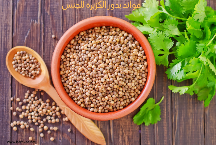 تعرف عليها ..فوائد الكزبرة للجنس والتخلص من ضعف الانتصاب ولكن بهذه الطريقة..لن تتوقع النتيجة