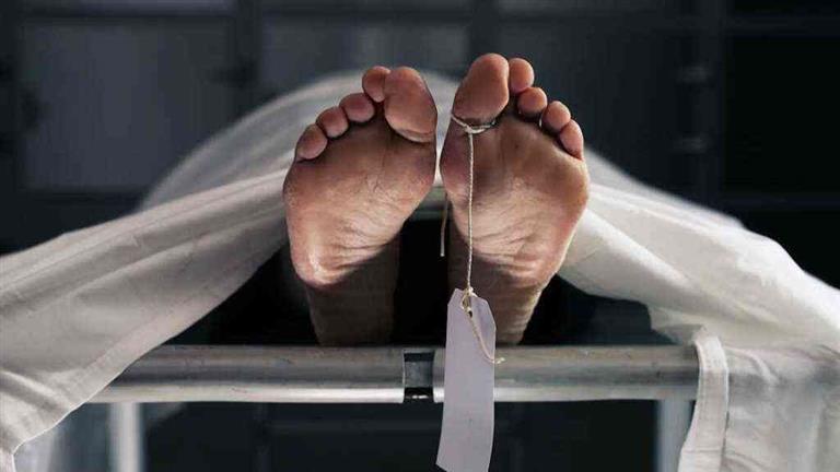 "جوزي فكر يخنقني فغرزت السكينة في صدره".. قصة مقتل "محاسب" ع