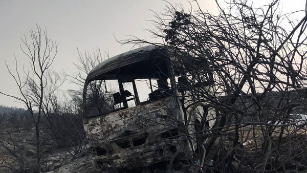 حرائق الجزائر المروعة.. ضبط 3 أشخاص أضرموا النار عمدا