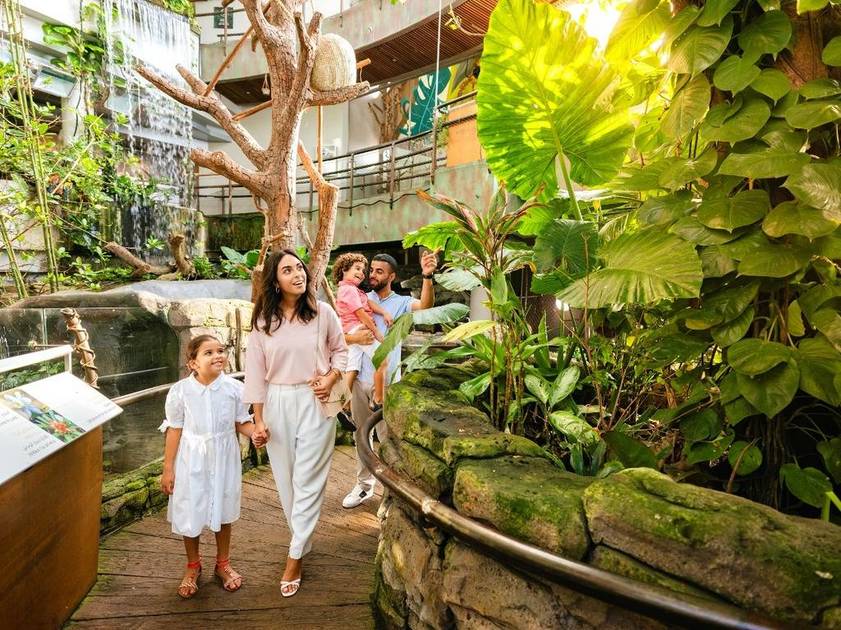 دبي تزخر بوجهات ترفيهية داخلية مميزة تقدم تجارب استثنائية متنوعة