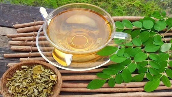 صرعة الأغذية الخارقة.. 10 فوائد تدهشك تجعلك تدمن المورينغا