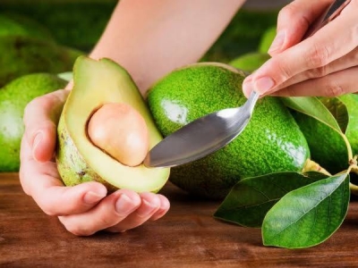 طبيبة "روسية" تكشف تأثير الأفوكادو على صحة القلب.. ومنع تناوله في هذه الحالة