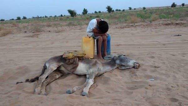 طفل يبكي بجانب حمار نفق عطشاً... صورة تخطف القلوب