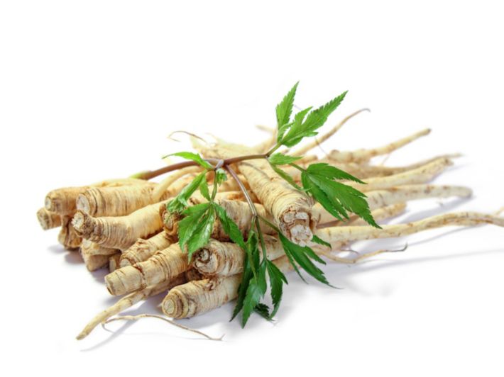 عشبة بسيطة حيرت الطب الحديث.. تقوي الذاكرة وتعود بالشايب إلى مرحلة الشباب وبقوة كبيرة !! (طريقة الأستخدام السهلة !)