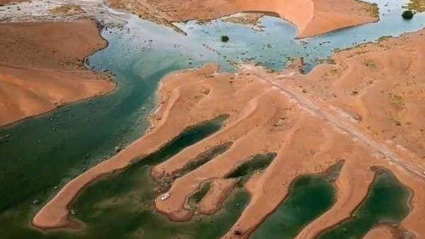 مشهد غير مسبوق.. سيول تتدفق بالربع الخالي والزعاق يوضح