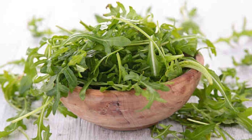 منشط طبيعي يبحث عنها كل الرجال فوق السرير.. هذه العشبة السحرية متوفرة في كل منزل تجعلك فحلاً بقوة الـف حصان (طريقة الأستخدام الصحيح)