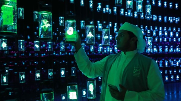 «ناشئة المدام» تطرح 8 برامج لتنمية المعارف