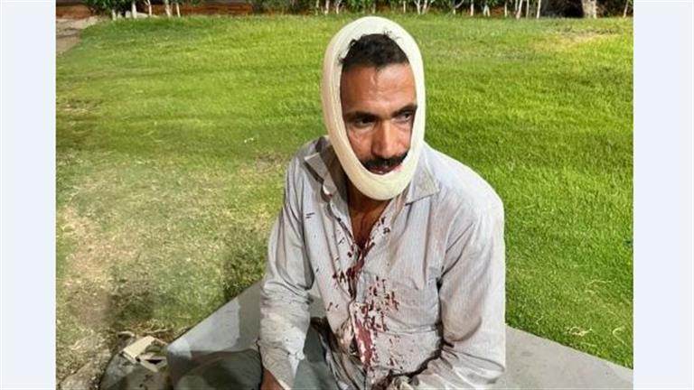 "واحدة ست لازم أحوش عنها".. شجاعة "عم شعبان" تنقذ سيدة وأطفالها من هجوم كلب