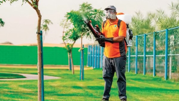 12 حديقة جديدة في رأس الخيمة خلال 3 سنوات