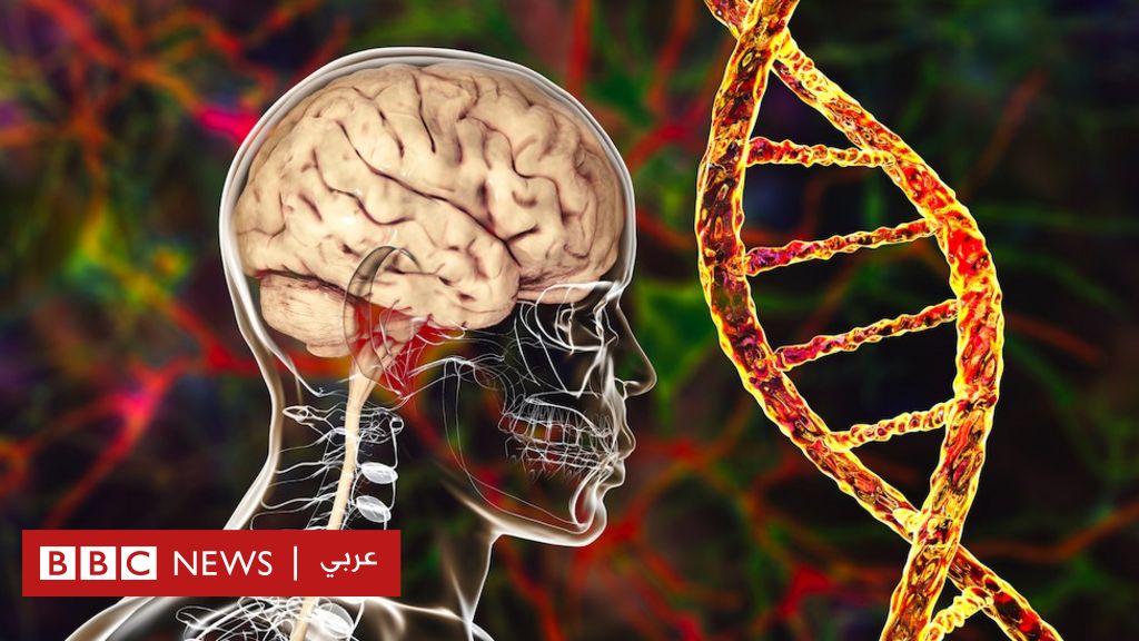 ألزهايمر: حقائق عن المرض المسبب للخرف عند كبار السن تعطي أملا جديدا للمرضى