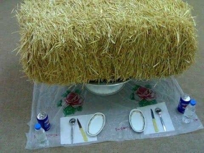 أول توضيح من الدكتور الخضيري بشأن نصيحته بأكل " التبن" ! • صحيفة المرصد