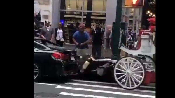تعنيف حصان يهزّ نيويورك.. فيديو يفطر القلوب