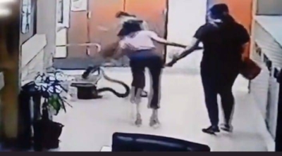 ثعبان ضخم يقفز فوق امرأة في تايلاند ويغرس أنيابه في قدمها  • صحيفة المرصد