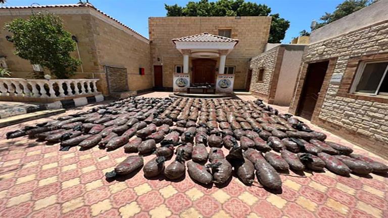 "سجن وخراب بيوت".. ليلة سقوط إمبراطور البانجو بـ50 كيلو في ا