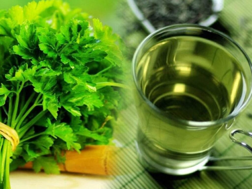 لشعر أكثر حيوية ولمعاناً.. إليكِ أبرز فوائد ماء البقدونس