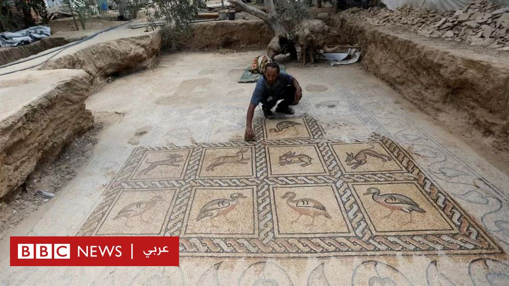 فلاح فلسطيني يعثر على لوحة فسيفساء فريدة أثناء غرسه شجرة زيتون