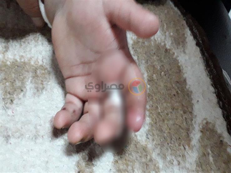 قتله ونقله المستشفى.. كواليس تعذيب صبي حتى الموت على يد تاجر