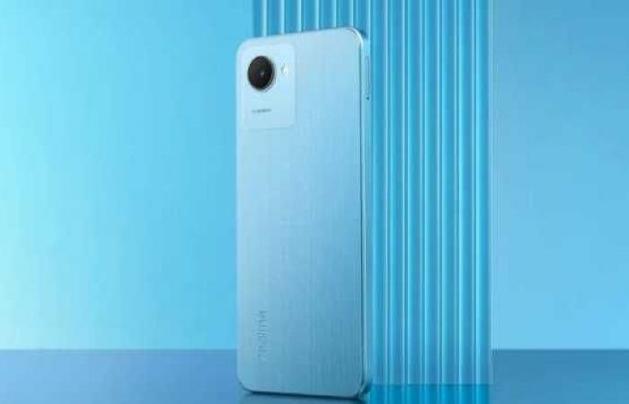 مواصفات وسعر هاتف Realme C30s الجديد