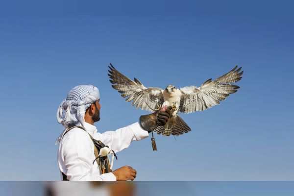 وكالة أنباء الإمارات - "بيئة