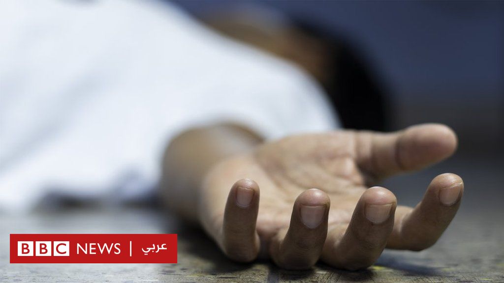 ولاء زايد: جريمة مروعة تهز الشارع المصري والنائب العام يتدخل… فما القصة؟