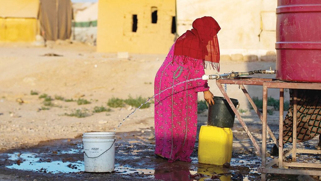 الصورة: