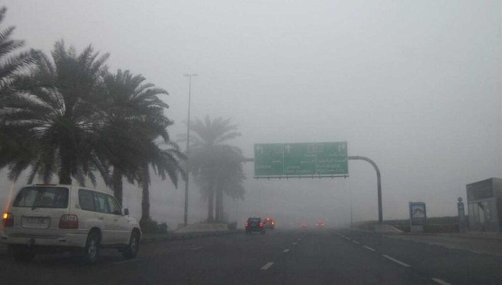 الصورة: