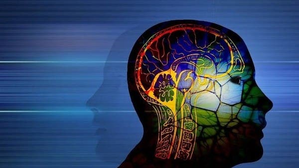 اكتشاف صلة بين التمثيل الغذائي وصحة الدماغ المرتبطة بالخرف