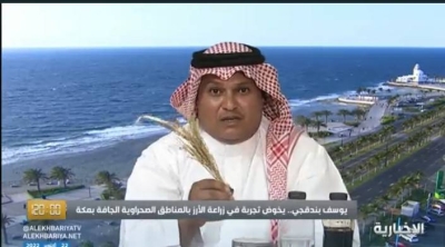بالفيديو .. مواطن ينجح في زراعة الأرز بالمناطق الصحراوية الجافة بسعر 6 ريال للكيلو ويكشف مفاجأة بشأن الأرباح