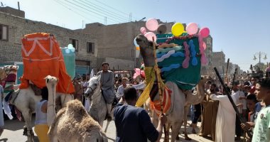 بالهودج والخيول.. مشاهد ساحرة لآلاف يحتفلون بالمولد النبوي بقنا..صور وفيديو
