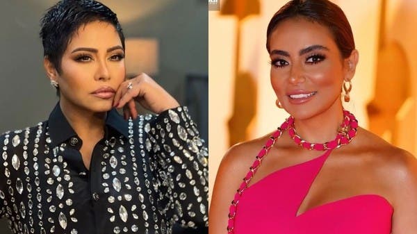 بعد أزمات تامر عاشور والشرنوبي.. من سارة الطباخ التي ظهرت بقضية "ضرب" شيرين؟