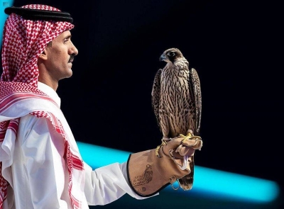 بيع صقر في مزاد نادي الصقور بمبلغ قياسي.. والكشف عن سعره ونوعه • صحيفة المرصد