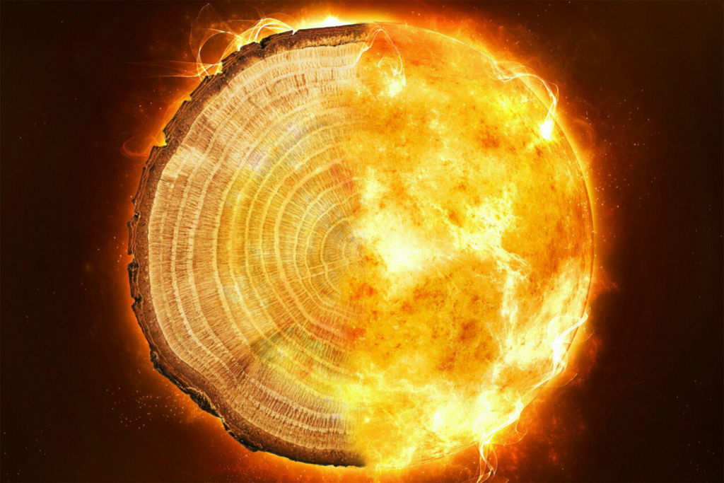 تضرب الأرض كل ألف عام.. حلقات الأشجار تؤرخ للعواصف الكونية الغامضة | علوم