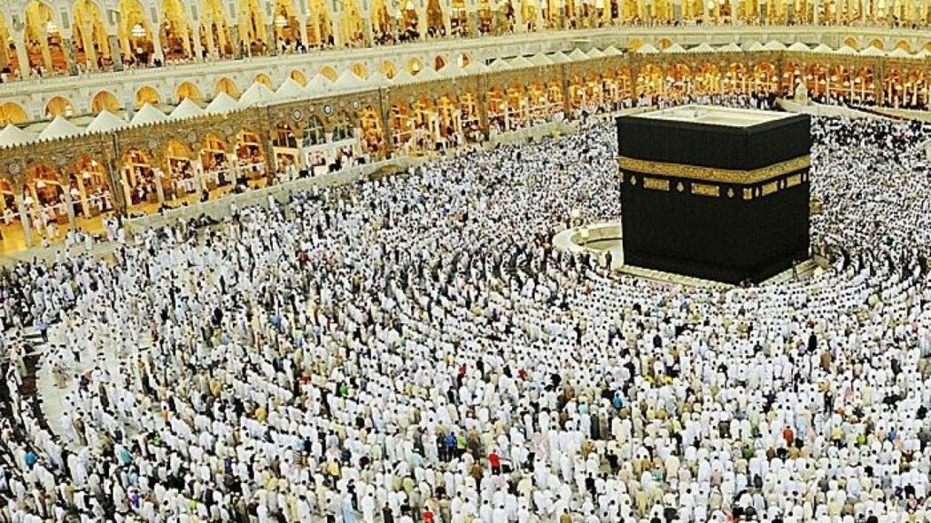 الصورة: