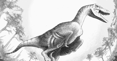 دراسة: الكويكب الذى قضى على الديناصورات تسبب أيضًا فى حدوث زلزال هائل
