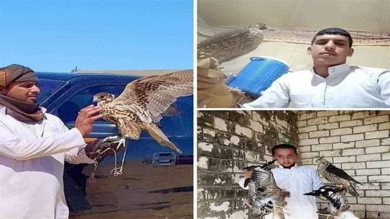 لحظة وصول جثامين المفقودين الثلاثة في صحراء مطروح مستشفى الع