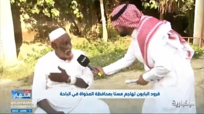 "بعد هجوم القرود عليه".. شاهد.. المواطن المسن يروي تفاصيل جديدة عن إصابته و نقله إلى مستشفى في المخواة